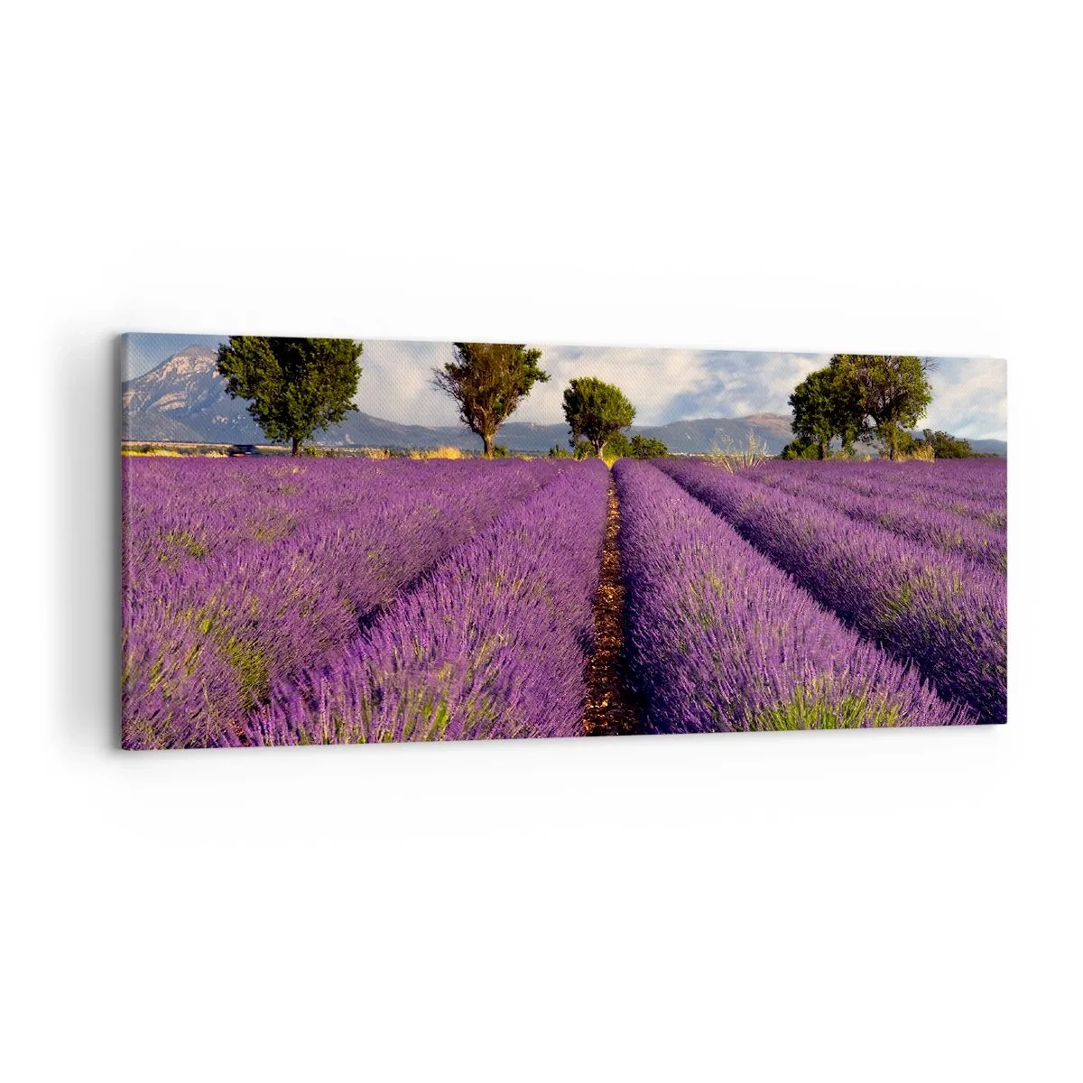 Bild auf Leinwand - Leinwandbild - Ein Lavendelfeld mit Bäumen vor der Kulisse von Bergen und Himmel - 120x50cm - Lavendelfelder - Moderne Wanddekoration für Wohnzimmer und Schlafzimmer ARTTOR