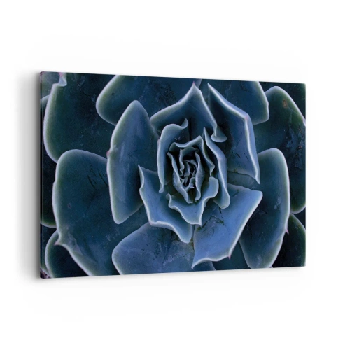 Bild auf Leinwand - Leinwandbild - Nahaufnahme einer grünen Sukkulentenrosette - 120x80cm - Wüstenblume - Moderne Wanddekoration für Wohnzimmer und Schlafzimmer ARTTOR