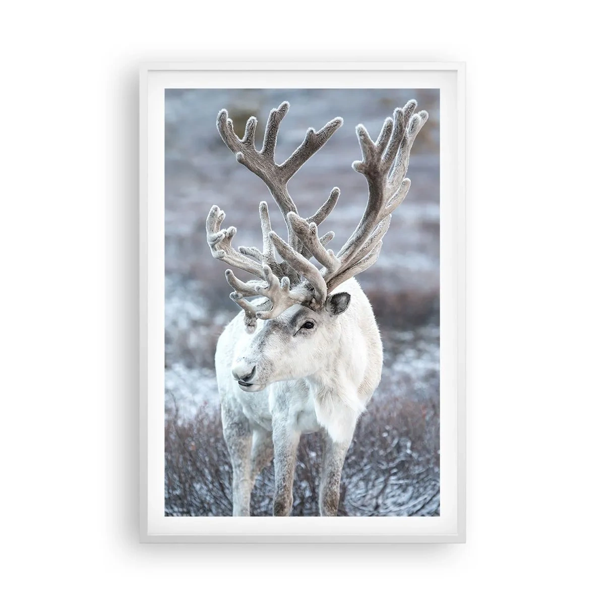 Poster in einem weißen Rahmen - Porträt in der Sonne - 61x91 cm