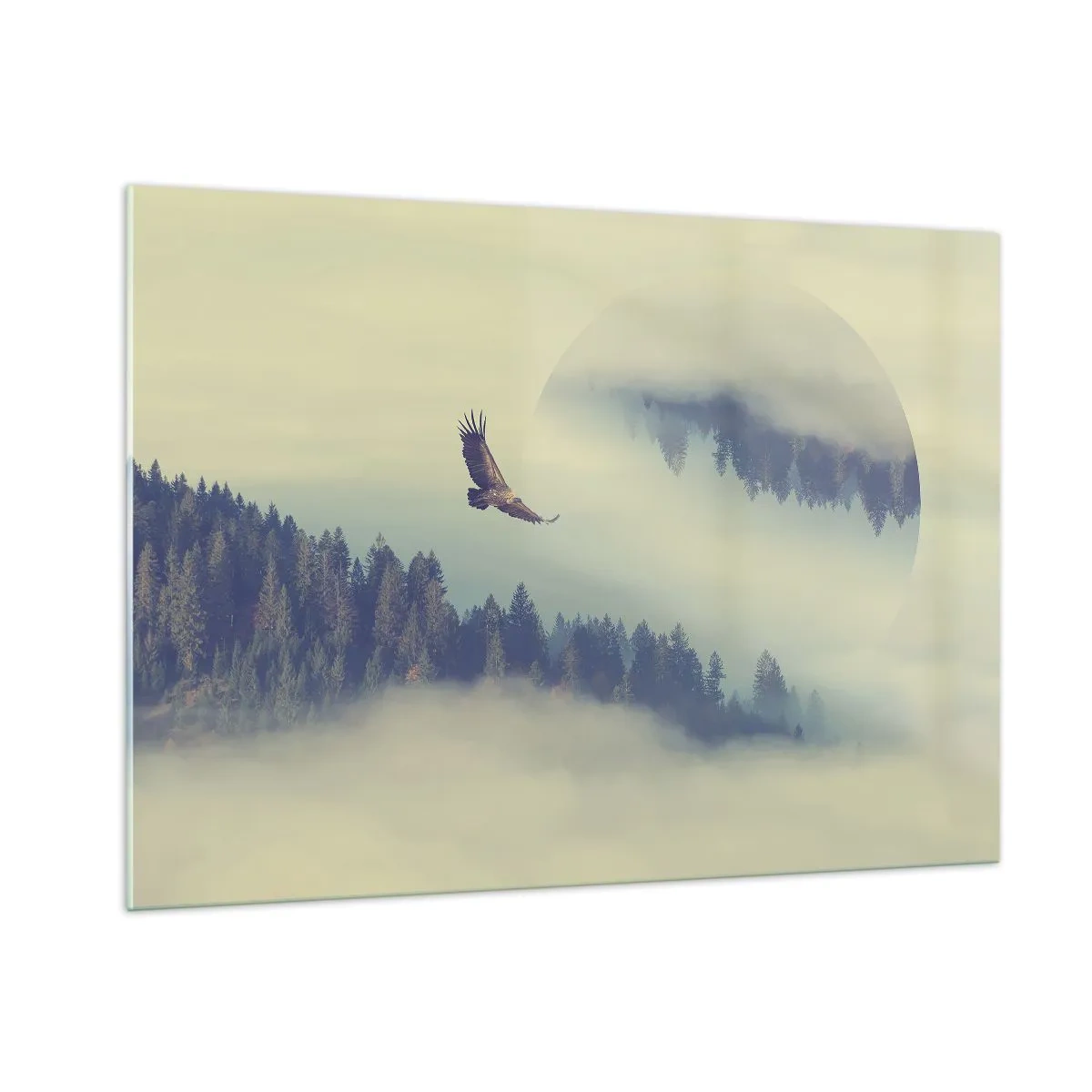 Glasbild - Bild auf glas - Ein Adler im Flug über einem nebelverhangenen Wald mit einer surrealen Spiegelung. - 100x70cm - Ich habe den Schatten eines Adlers gesehen - Moderne Wanddekoration für Wohnzimmer und Schlafzimmer ARTTOR