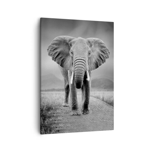 Bild auf Leinwand - Leinwandbild - Ein mächtiger Elefant in der Savanne in monochromen Tönen - 50x70cm - Der Gastgeber heißt willkommen - Moderne Wanddekoration für Wohnzimmer und Schlafzimmer ARTTOR