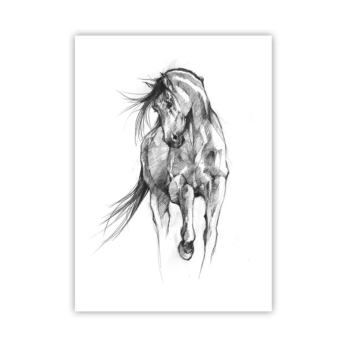 Poster - Skizze eines Pferdes in dynamischer Pose - 50x70cm - Im anmutigen Trab - Moderne Wanddekoration für Wohnzimmer und Schlafzimmer ARTTOR