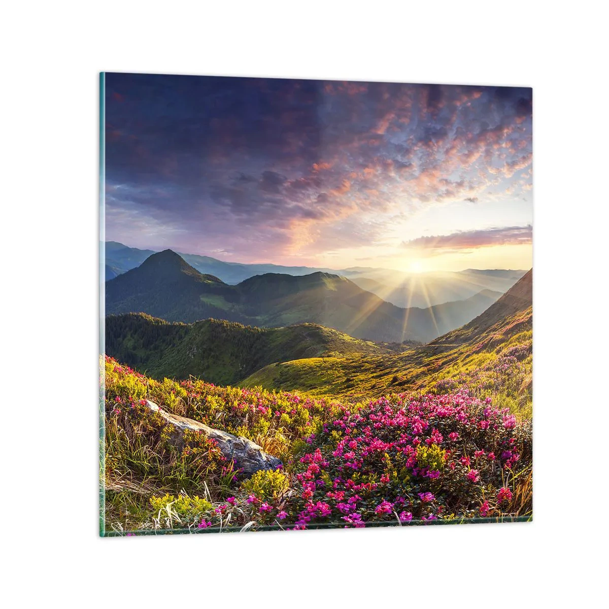 Glasbild - Bild auf glas - Frische am Bergmorgen - 40x40 cm