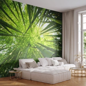 Fototapete Premium Canvas - In einem Bambushain - Bambuswald, Dschungel, Bambus - 350x256 cm