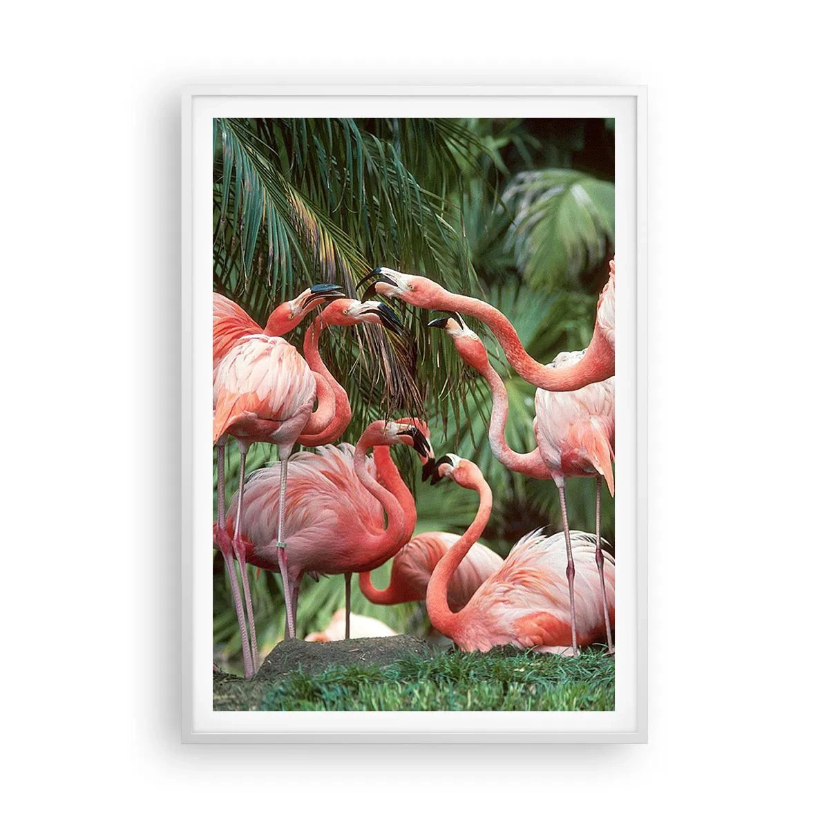 Poster in einem weißen Rahmen - Nachmittagsklatsch - 70x100 cm