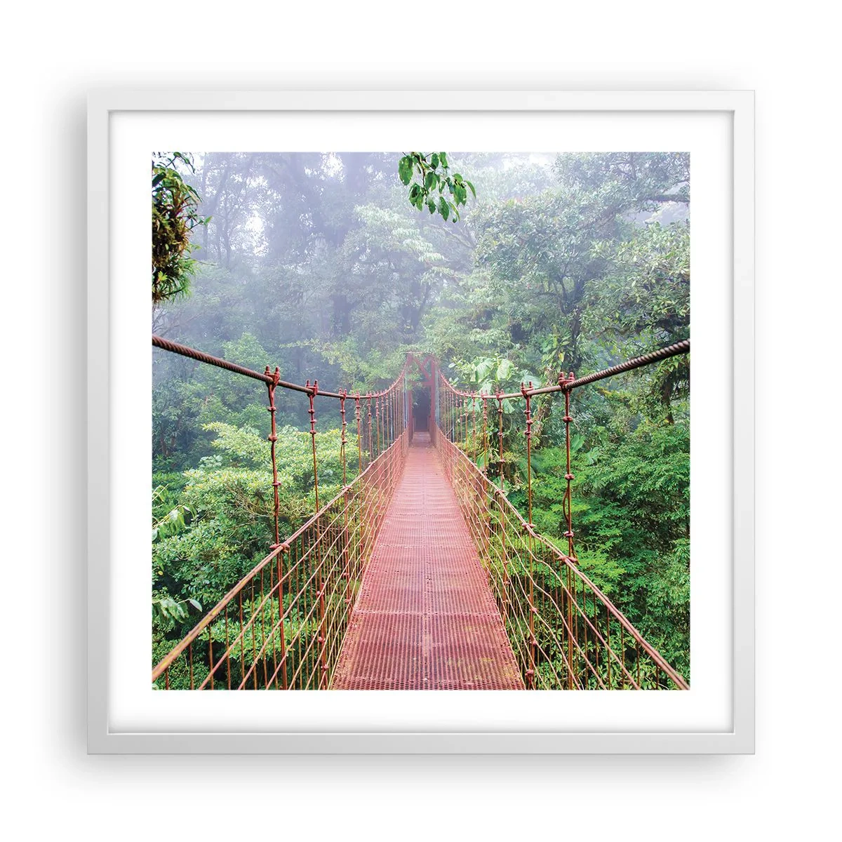 Poster in einem weißen Rahmen - Über den Kronen aufgehängt - 50x50 cm