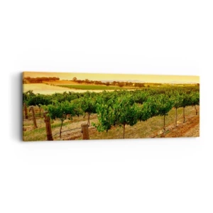 Bild auf Leinwand - Leinwandbild - Holen Sie sich einen Drink von der Sonne - 90x30 cm
