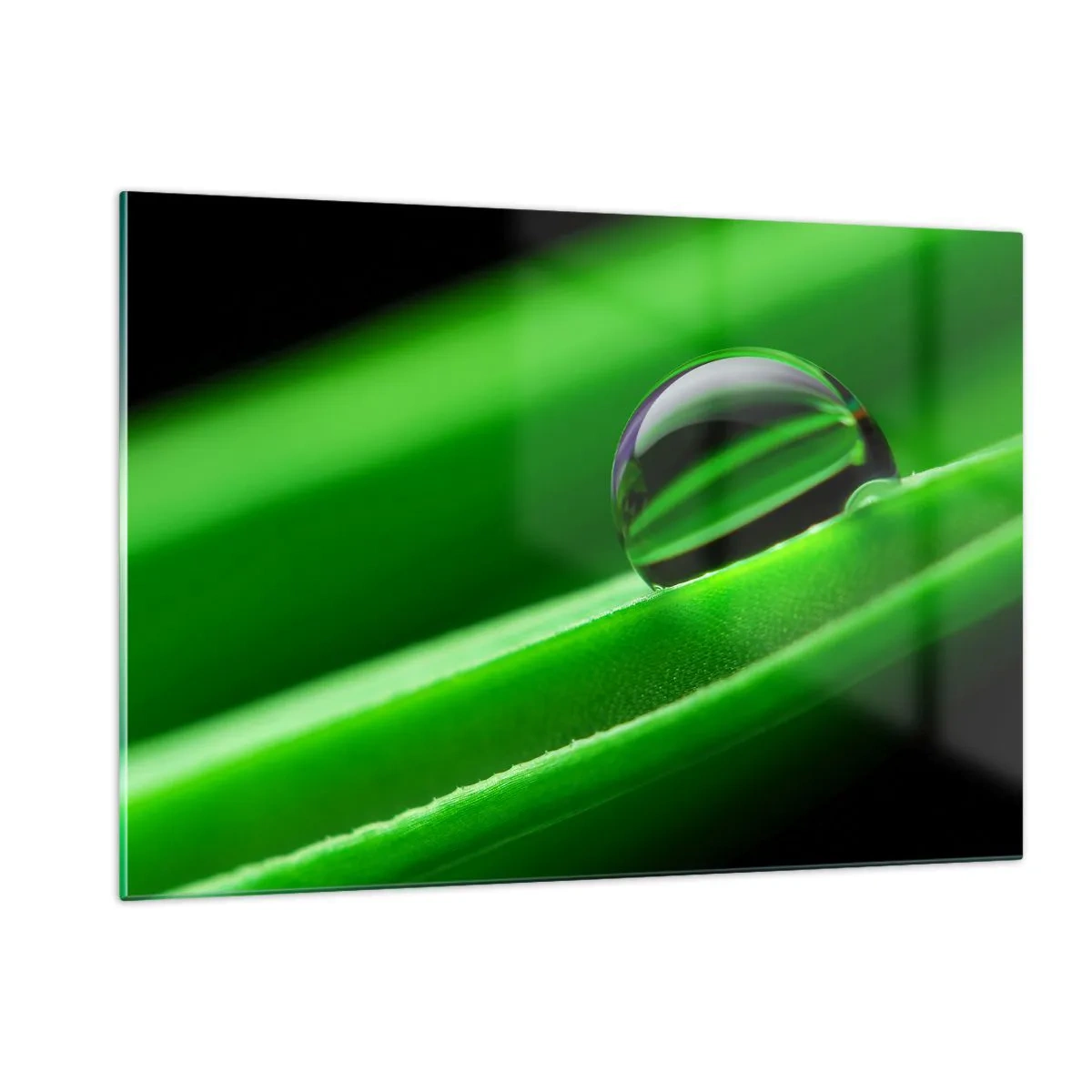 Glasbild - Bild auf glas - Ein Tropfen Tau auf einem grünen Blatt - 120x80cm - Leben hautnah - Moderne Wanddekoration für Wohnzimmer und Schlafzimmer ARTTOR