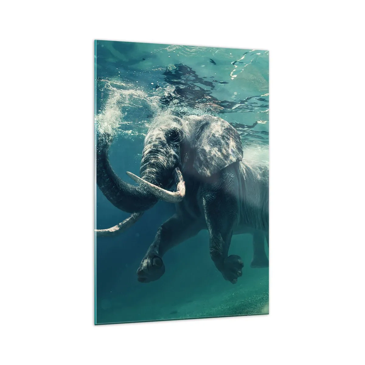 Glasbild - Bild auf glas - Ein Elefant schwimmt unter Wasser in den türkisfarbenen Tiefen - 70x100cm - Jeder schwimmt gerne - Moderne Wanddekoration für Wohnzimmer und Schlafzimmer ARTTOR