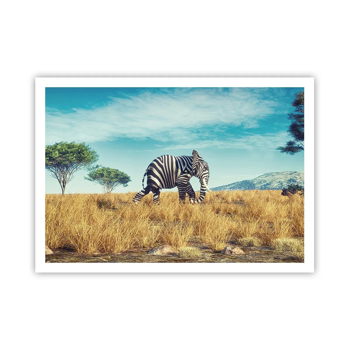 Poster - Zebra in einer afrikanischen Landschaft - 100x70cm - Grau ist nicht mehr in Mode - Moderne Wanddekoration für Wohnzimmer und Schlafzimmer ARTTOR