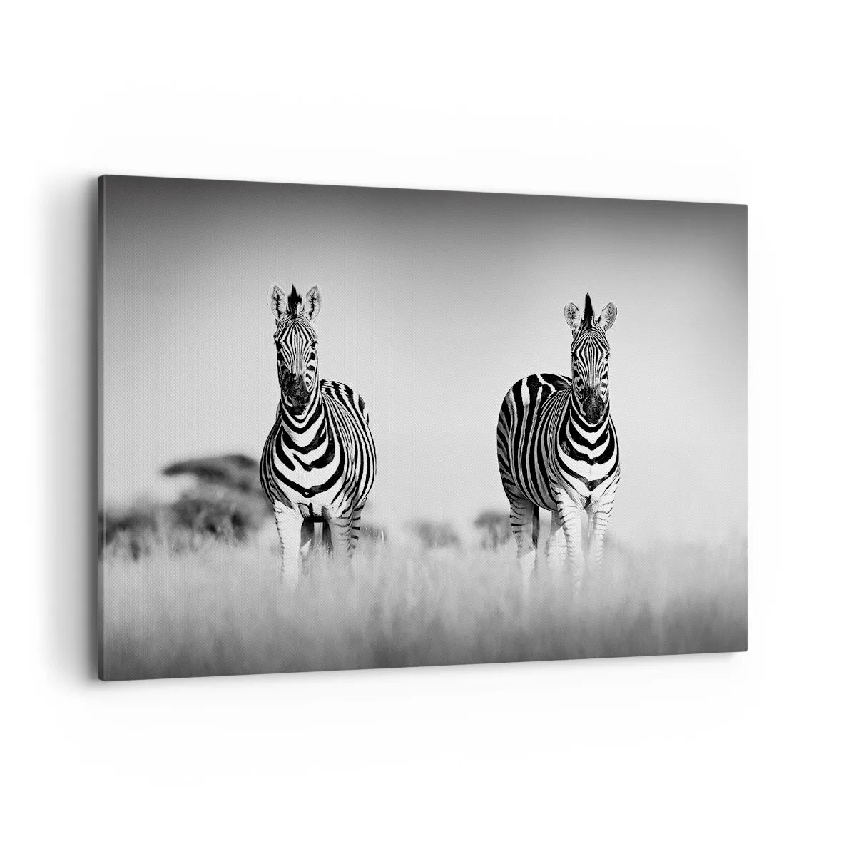 Bild auf Leinwand - Leinwandbild - Zwei Zebras in der Savanne im monochromen Stil - 120x80cm - Die Welt ist doch schwarz-weiß - Moderne Wanddekoration für Wohnzimmer und Schlafzimmer ARTTOR