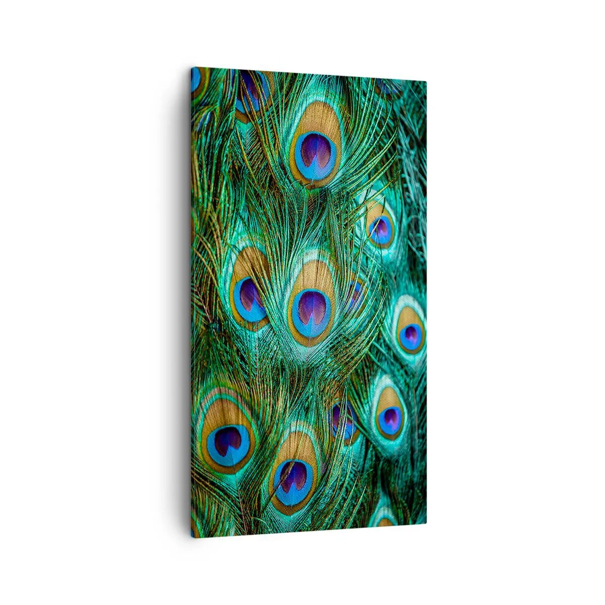 Bild auf Leinwand - Leinwandbild - Ein Blick mit Pfauenaugen - 45x80 cm