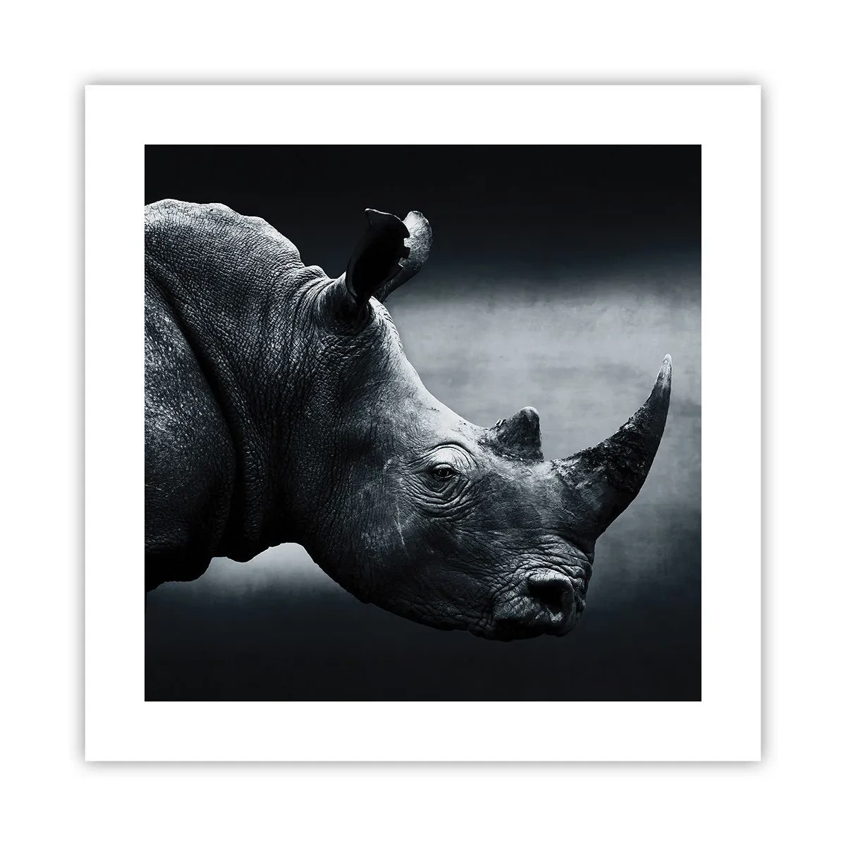 Poster - Richtiges Profil - 40x40 cm