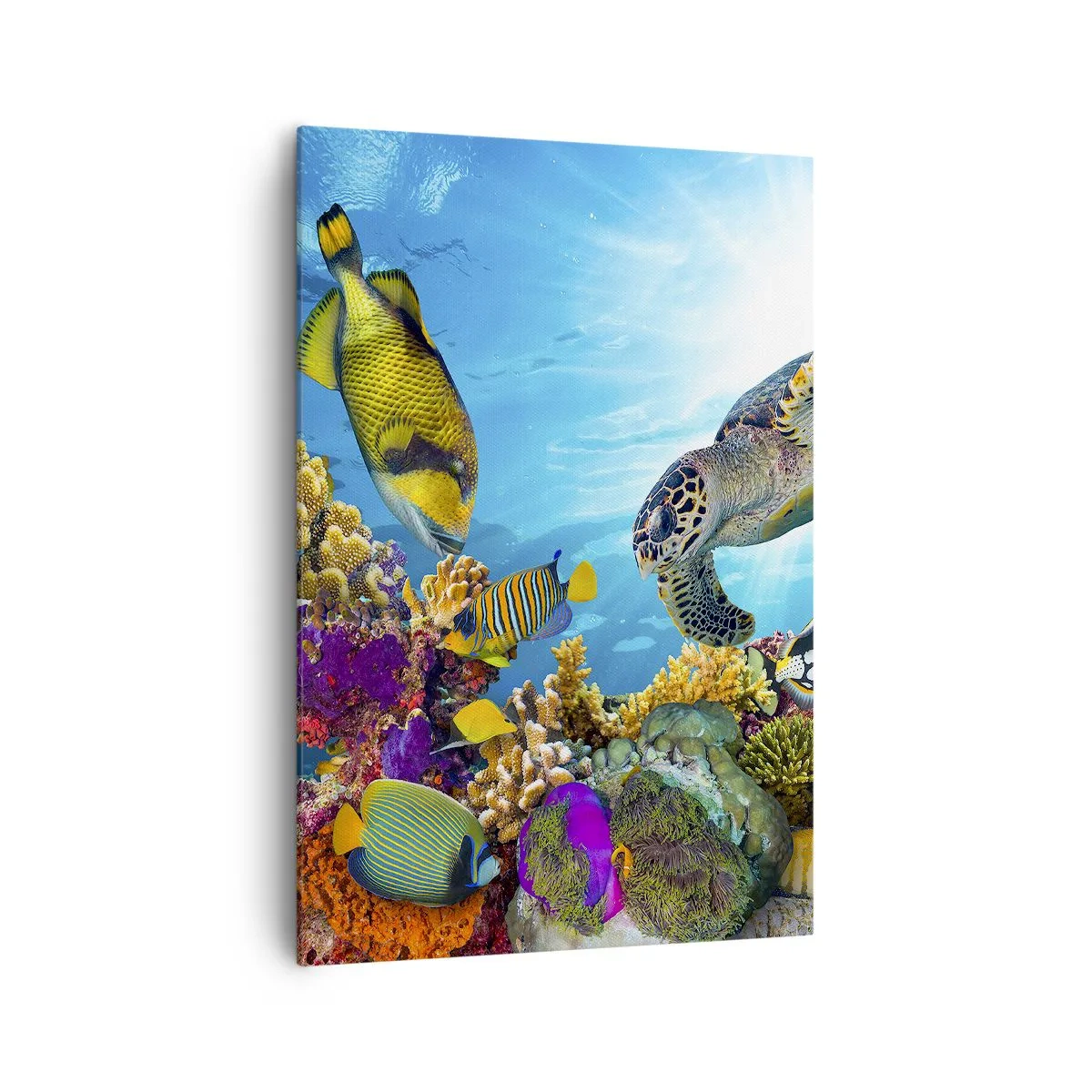 Bild auf Leinwand - Leinwandbild - Unterwasserwelt mit bunten Fischen und einer Schildkröte in den Korallen - 70x100cm - Korallenpromenade - Moderne Wanddekoration für Wohnzimmer und Schlafzimmer ARTTOR