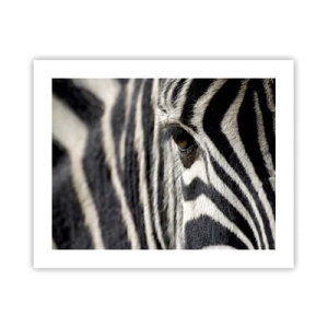 Poster - Gestreiftes Porträt - 50x40 cm