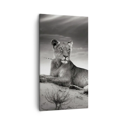 Bild auf Leinwand - Leinwandbild - Die Königin der Wüstenruhe - 45x80 cm