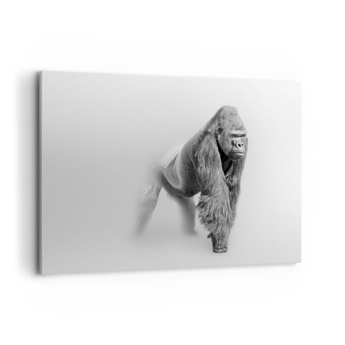 Bild auf Leinwand - Leinwandbild - Gorilla in monochromen Tönen auf weißem Hintergrund - 100x70cm - Zuversichtlich in seiner Stärke - Moderne Wanddekoration für Wohnzimmer und Schlafzimmer ARTTOR