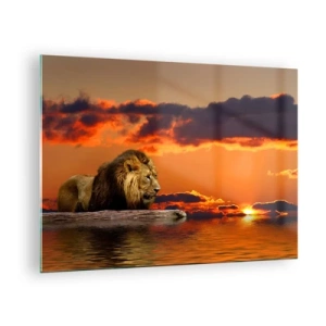 Glasbild - Bild auf glas - Ein Löwe vor dem Hintergrund der untergehenden Sonne - 70x50cm - König der Natur - Moderne Wanddekoration für Wohnzimmer und Schlafzimmer ARTTOR