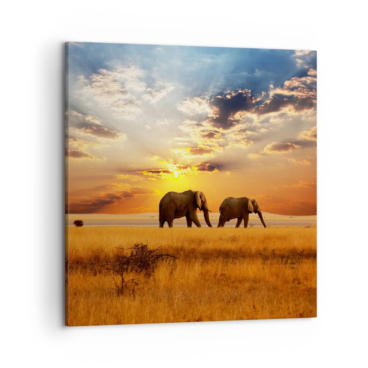 Bild auf Leinwand - Leinwandbild - Familienspaziergang - 50x50 cm