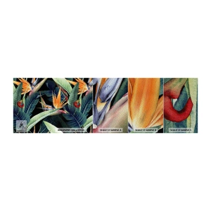 Fototapeten Muster Premium Sand - Flammende Blumen der Tropen - Strelitzia Royal, Blume, Afrika - 100x30 cm