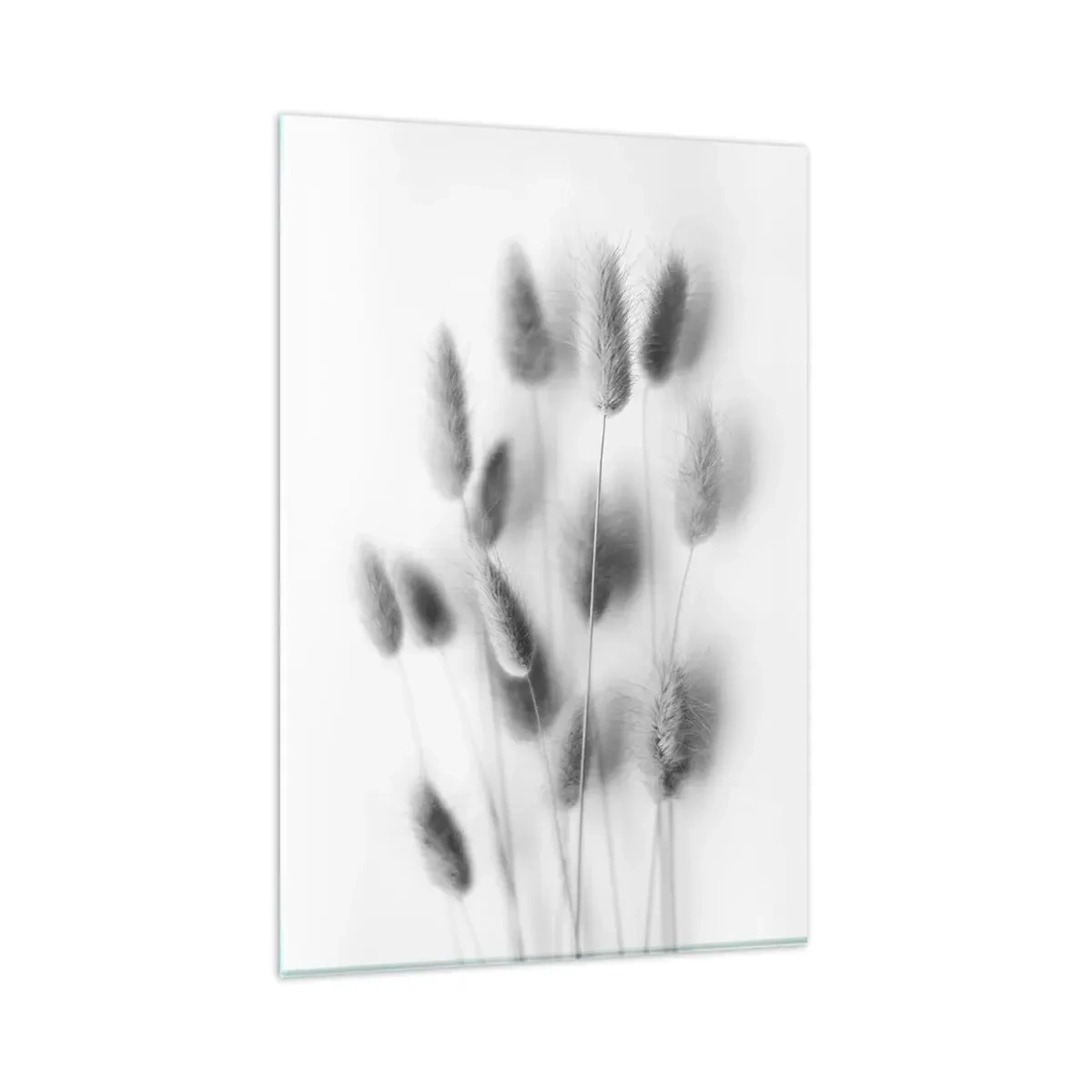 Glasbild - Bild auf glas - Zarte Gräser in Grautönen auf weißem Hintergrund - 80x120cm - Eure flauschige Grashoheit - Moderne Wanddekoration für Wohnzimmer und Schlafzimmer ARTTOR
