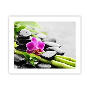 Poster - In ruhiger Balance - 50x40 cm