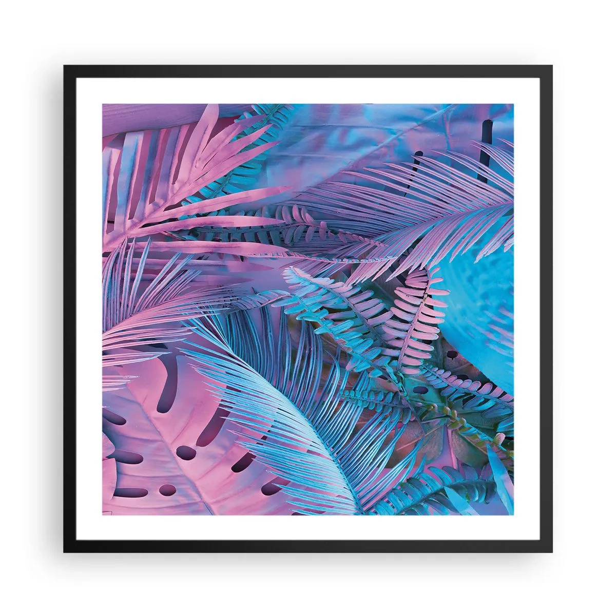 Poster in einem schwarzem Rahmen - Tropen in Rosa und Blau - 60x60 cm