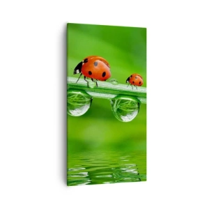 Bild auf Leinwand - Leinwandbild - Den ganzen Sommer unterwegs - 55x100 cm