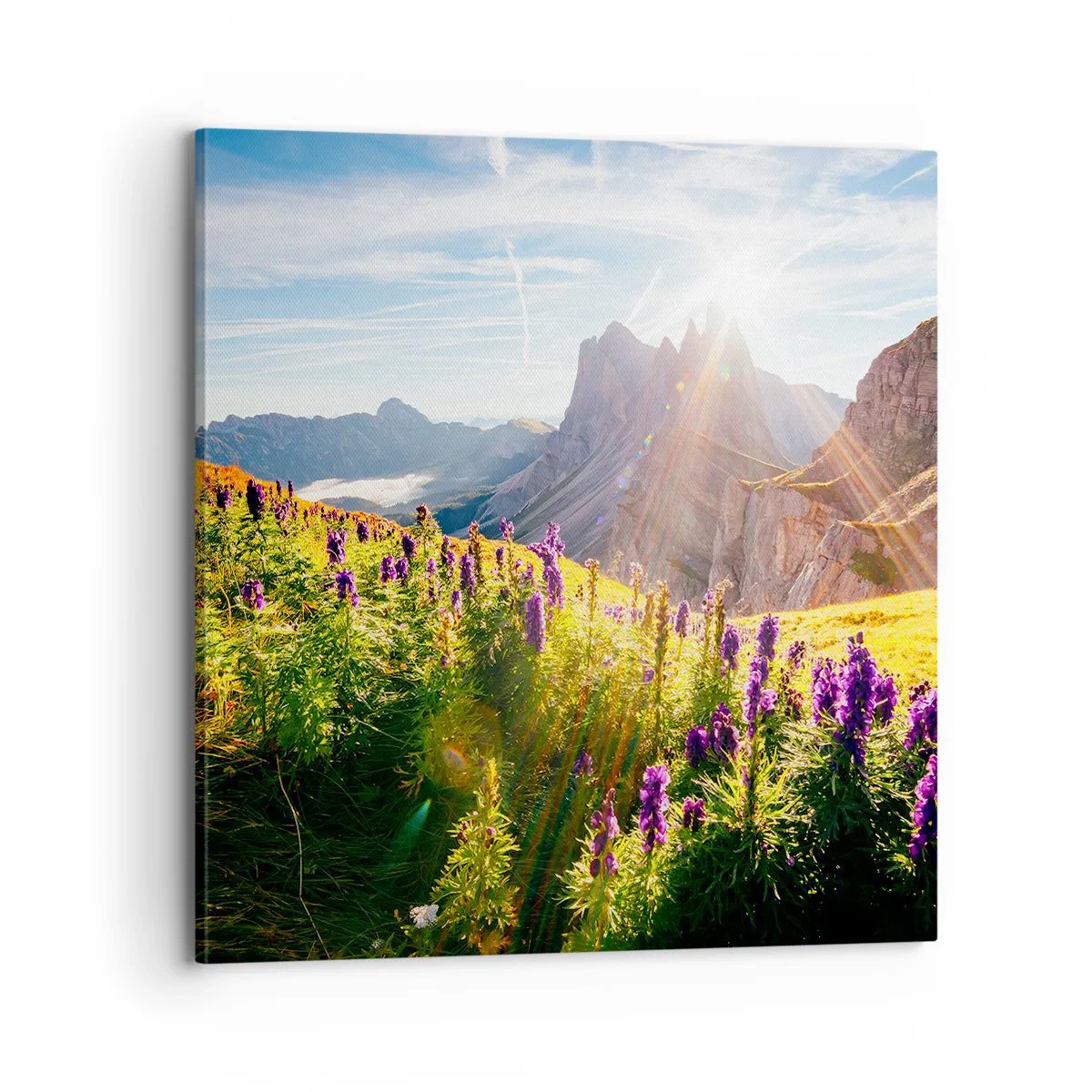 Bild auf Leinwand - Leinwandbild - Das geheime Leben der Kräuter - 70x70 cm