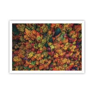 Poster - Bunte Baumkronen in der Herbstpalette - 100x70cm - Blumenstrauß aus Herbstbäumen - Moderne Wanddekoration für Wohnzimmer und Schlafzimmer ARTTOR