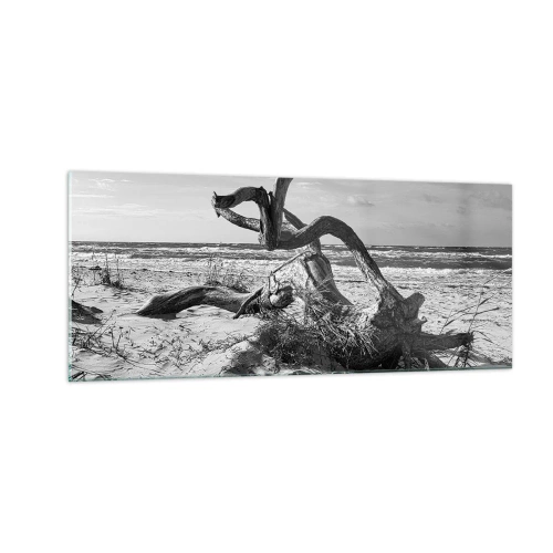 Glasbild - Bild auf glas - Meeresskulptur - 100x40 cm