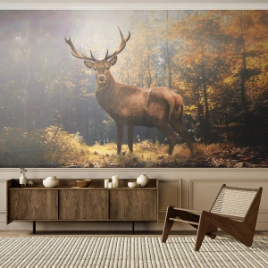 Fototapete Premium Sand - In voller Majestät - Landschaft, Reh, Wald - 100x70 cm