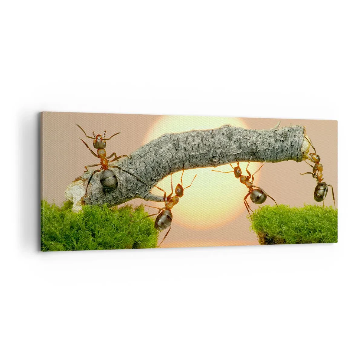 Bild auf Leinwand - Leinwandbild - Glücklich, zusammen arbeiten - 100x40 cm