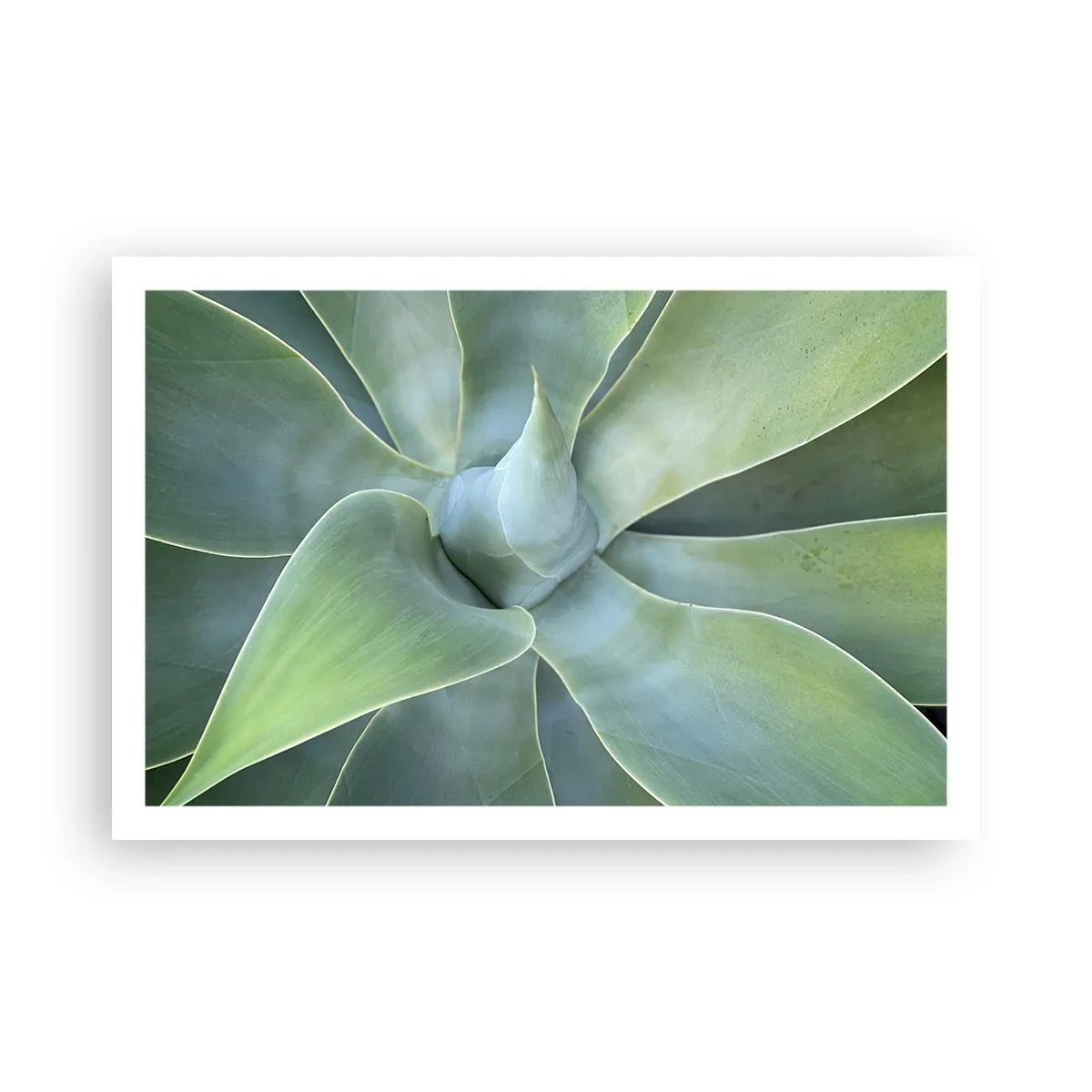 Poster - Geburt des Grüns - 91x61 cm