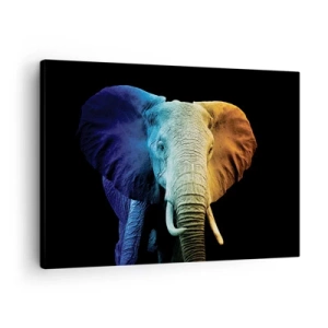 Bild auf Leinwand - Leinwandbild - Elefantenporträt in Regenbogenfarben - 70x50cm - Exzentrisch, kein Verrückter - Moderne Wanddekoration für Wohnzimmer und Schlafzimmer ARTTOR