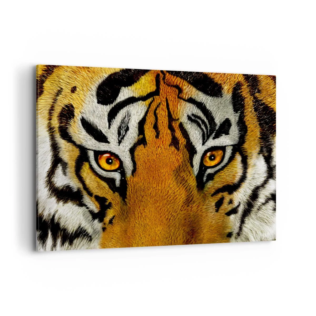 Bild auf Leinwand - Leinwandbild - Nahaufnahme eines Tigers mit intensivem Blick - 120x80cm - Schrecklich und schön - Moderne Wanddekoration für Wohnzimmer und Schlafzimmer ARTTOR