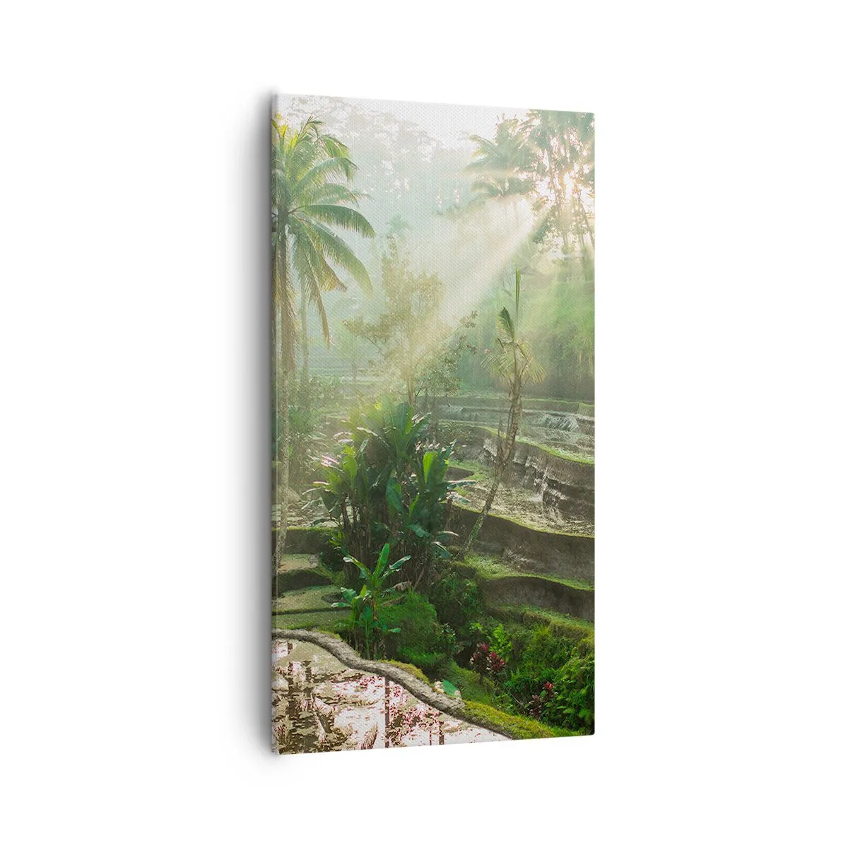 Bild auf Leinwand - Leinwandbild - In der Sonne aufwachsen - 55x100 cm