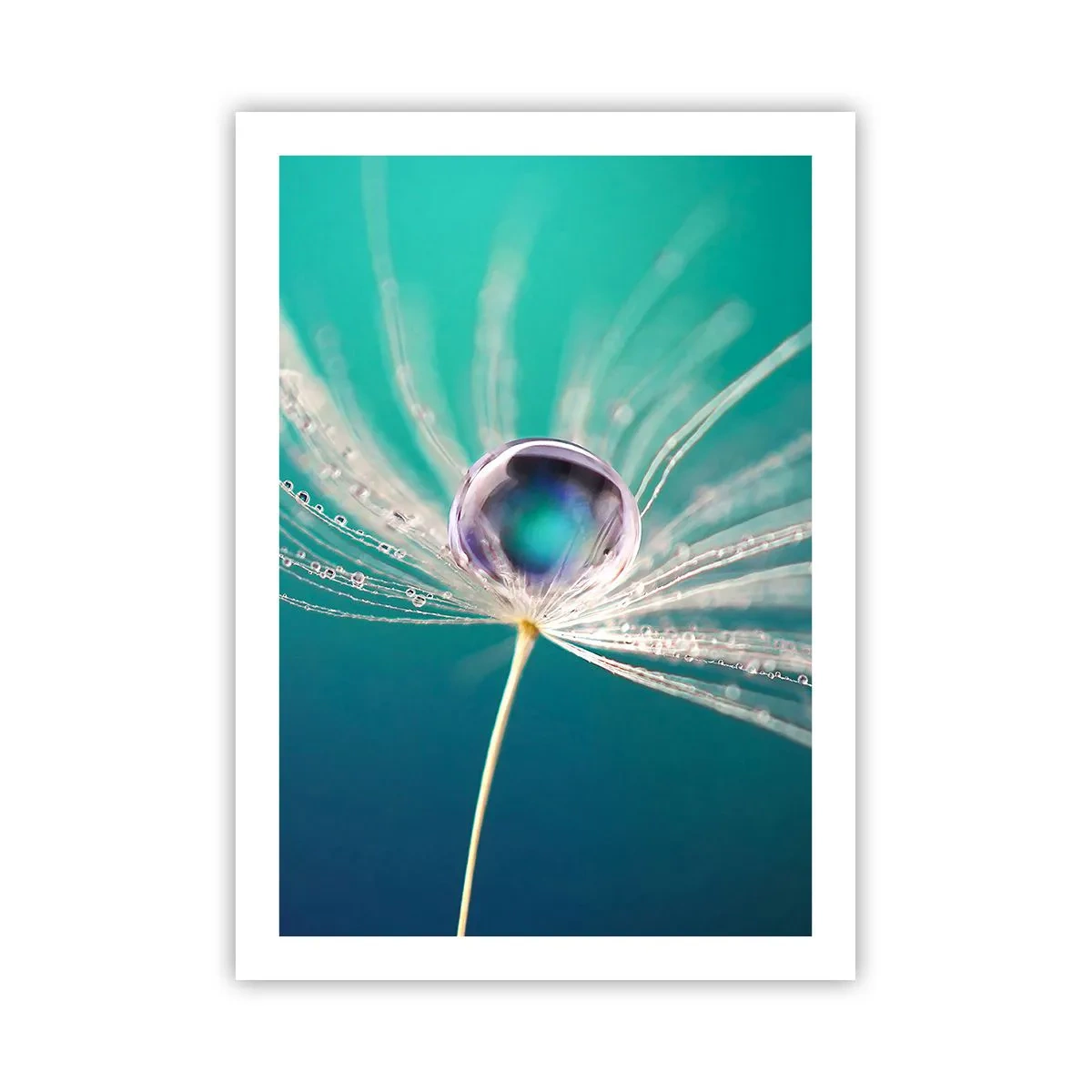 Poster - Makrofotografie eines Wassertropfens auf einem Löwenzahn - 50x70cm - Mystischer Moment - Moderne Wanddekoration für Wohnzimmer und Schlafzimmer ARTTOR