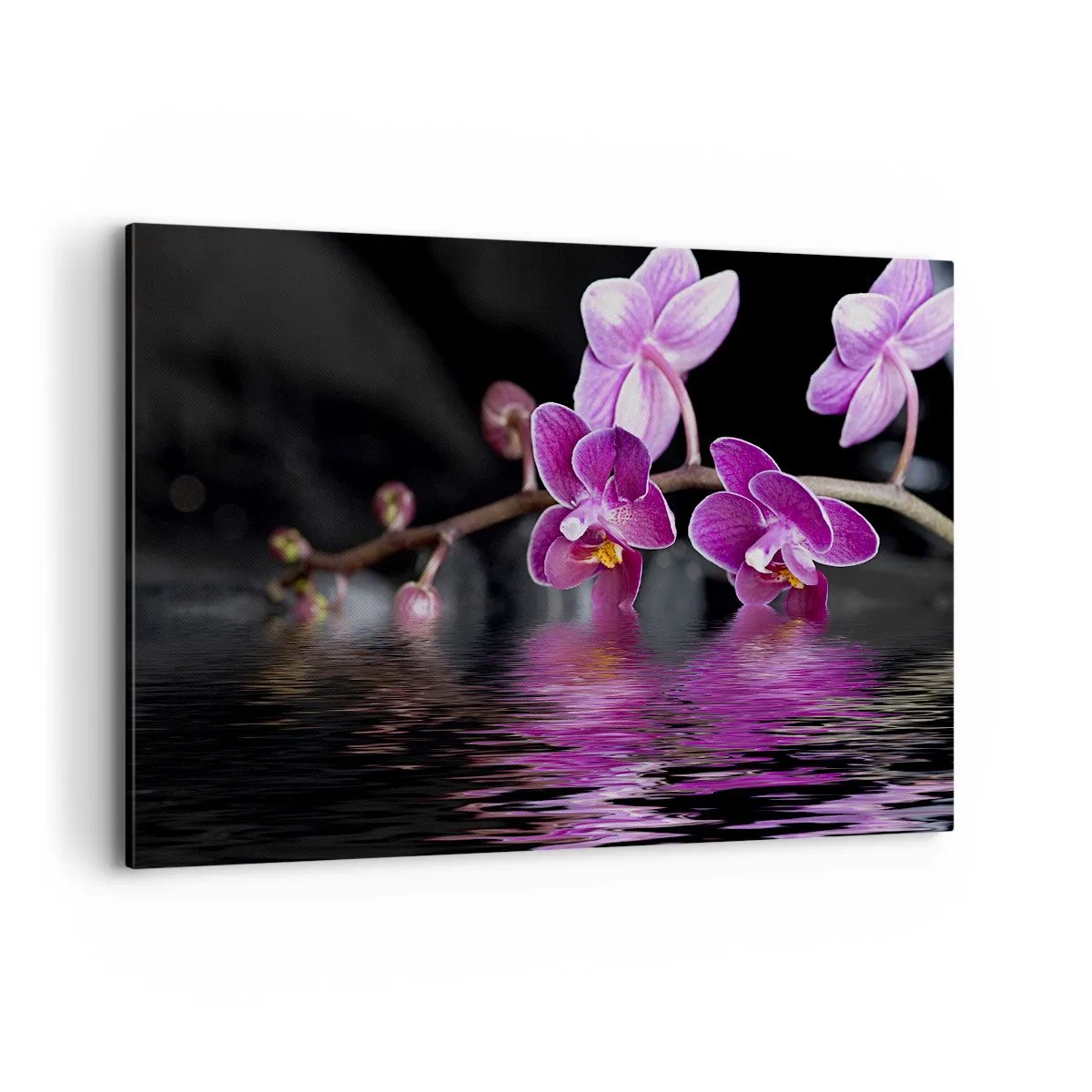 Bild auf Leinwand - Leinwandbild - Lila Orchideen über ruhigem Wasser vor schwarzem Hintergrund - 120x80cm - Lila Spiegelbild der Schönheit - Moderne Wanddekoration für Wohnzimmer und Schlafzimmer ARTTOR