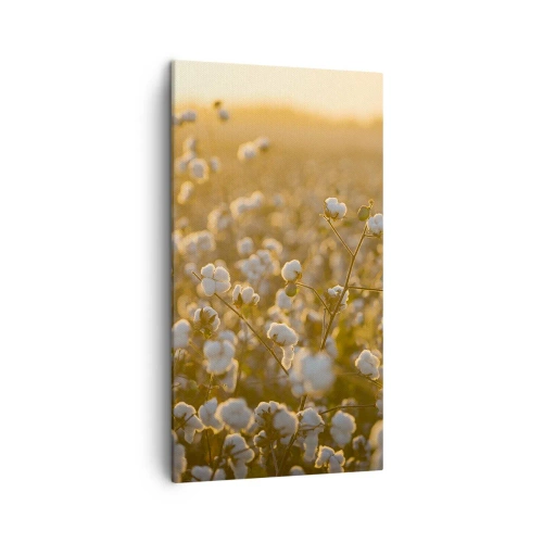Bild auf Leinwand - Leinwandbild - Fluffiges Feld - 45x80 cm