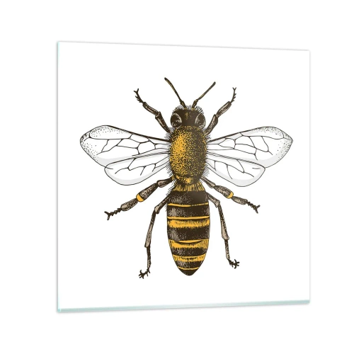 Glasbild - Bild auf glas - Schön und gut - 50x50 cm