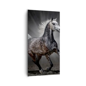 Bild auf Leinwand - Leinwandbild - Grau ist schön - 65x120 cm