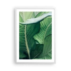 Poster in einem weißen Rahmen - Intensiv grünes Leben - 50x70 cm