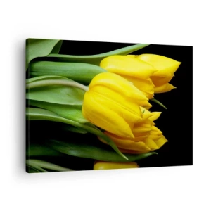 Bild auf Leinwand - Leinwandbild - Ein Strauß gelber Tulpen auf schwarzem Hintergrund - 70x50cm - Aus klarer Sonne entstanden - Moderne Wanddekoration für Wohnzimmer und Schlafzimmer ARTTOR