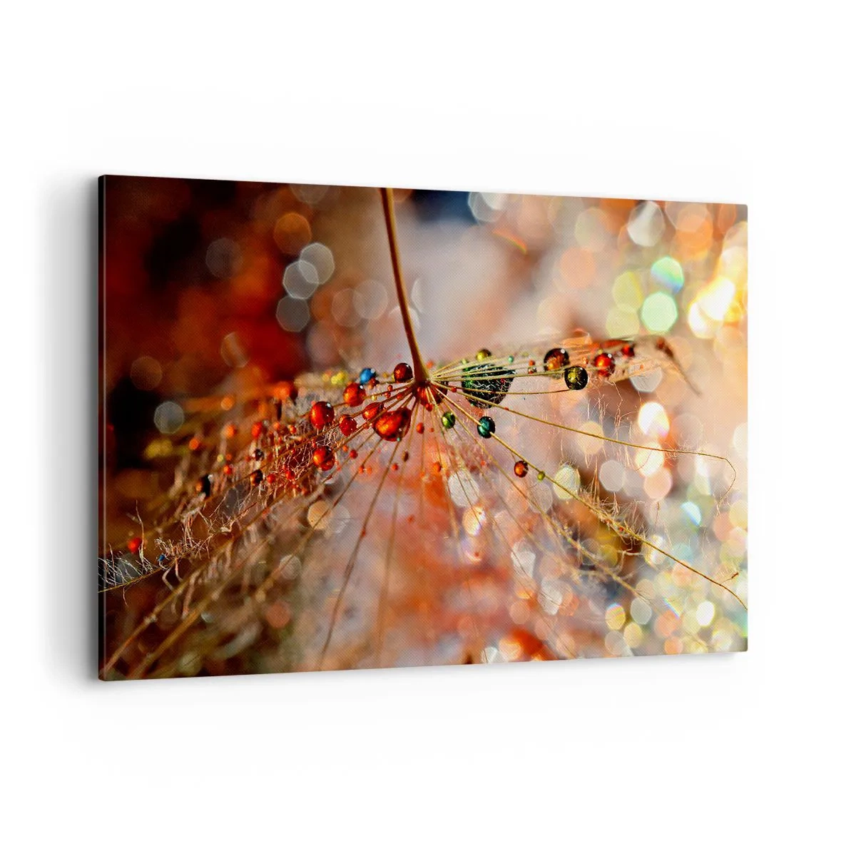 Bild auf Leinwand - Leinwandbild - Makrofotografie eines Wassertropfens auf einer zarten Pflanze - 120x80cm - Auf einem Spinnenfaden aufgefädelt - Moderne Wanddekoration für Wohnzimmer und Schlafzimmer ARTTOR