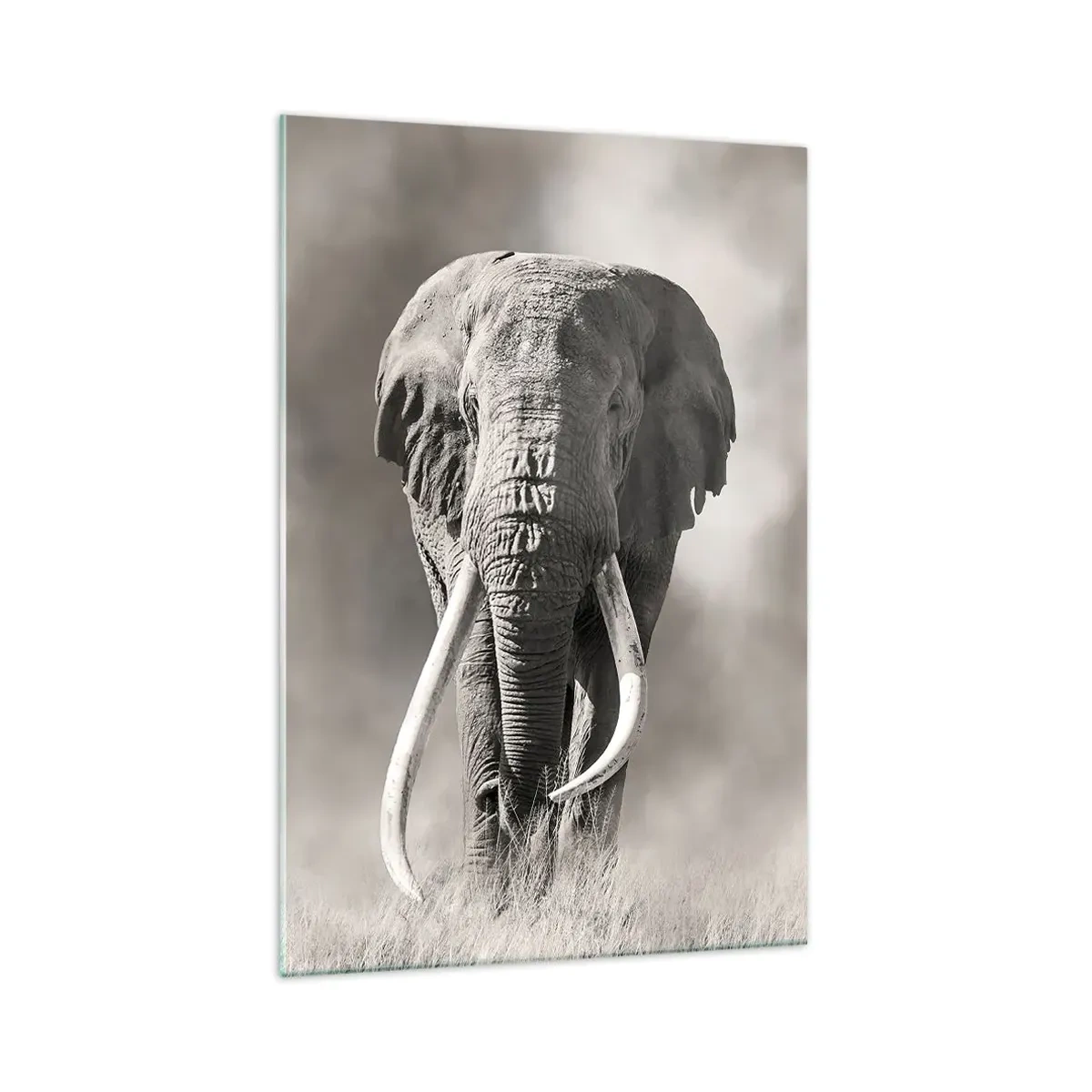 Glasbild - Bild auf glas - Afrikanischer Patriarch - 70x100 cm