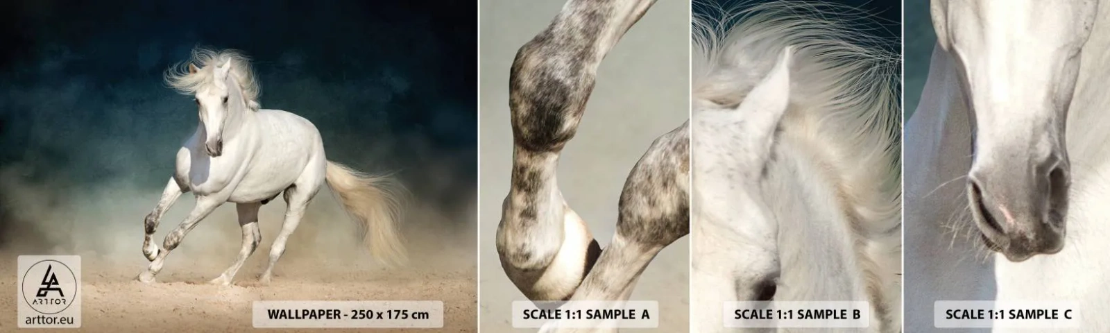 Fototapeten Muster Selbstklebend Deluxe Sticker - Freiheit in ihrem reinen Zustand - Pferd, Tier, Weiß - 100x30 cm