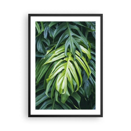 Poster in einem schwarzem Rahmen - Nahaufnahme der grünen Monstera-Blätter - 50x70cm - Tauchen Sie ein in die Frische - Moderne Wanddekoration für Wohnzimmer und Schlafzimmer ARTTOR