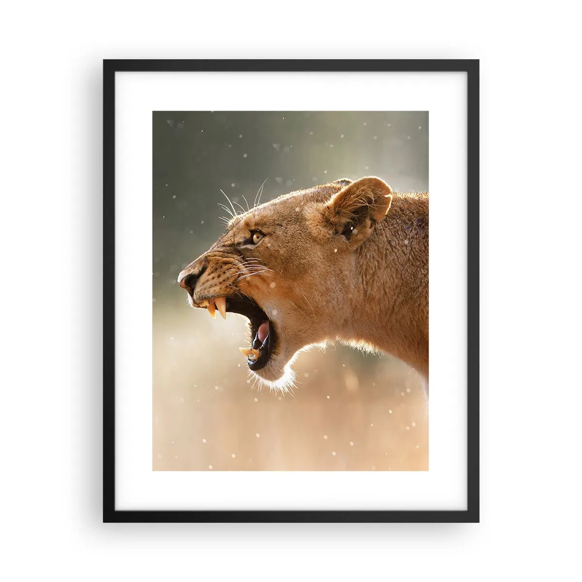 Poster in einem schwarzem Rahmen - Versuch, nicht zuzuhören - 40x50 cm