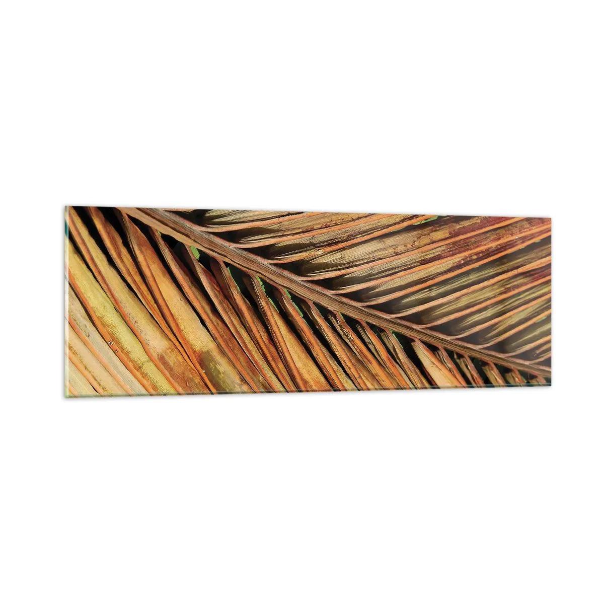 Glasbild - Bild auf glas - Kokosnuss-Gold - 90x30 cm